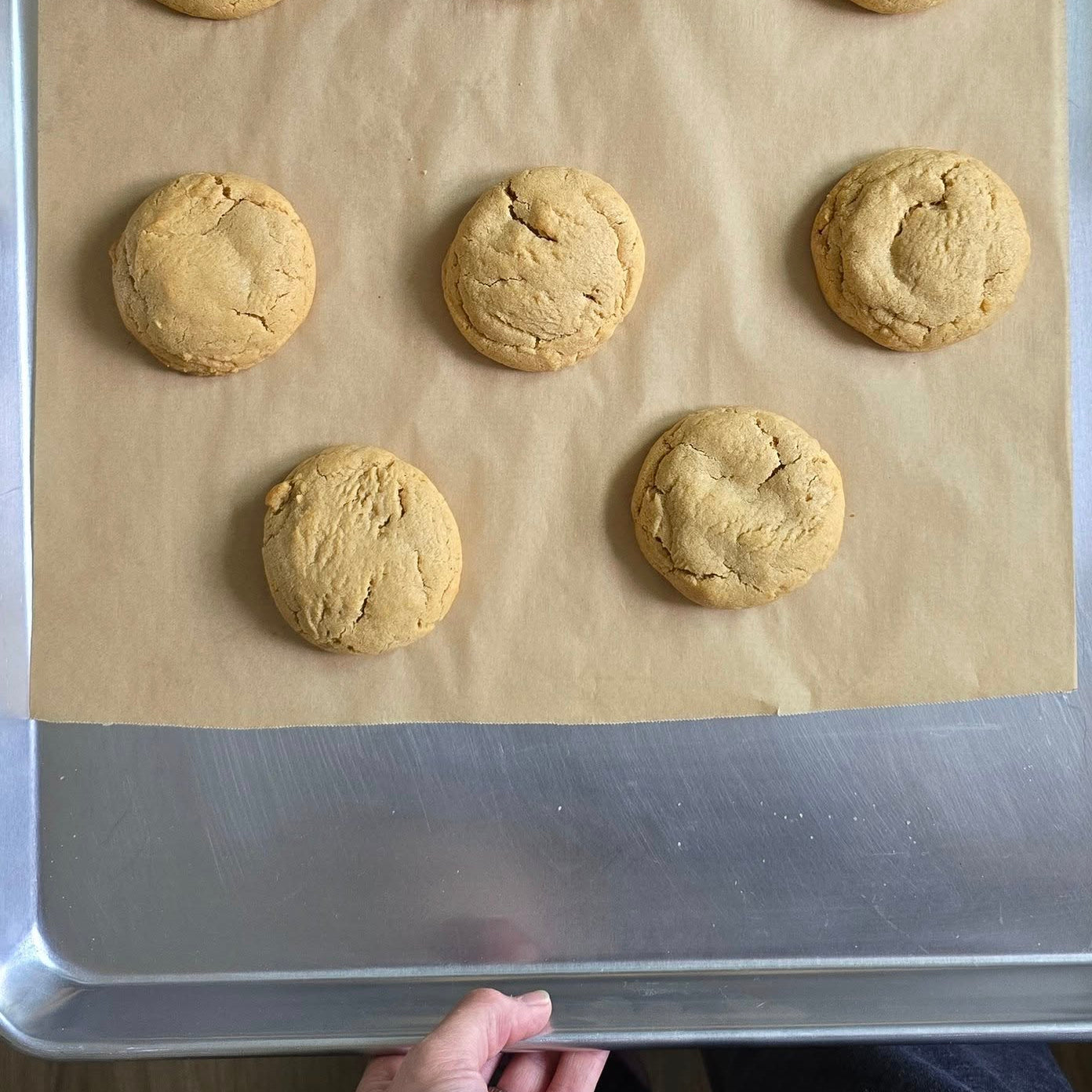 Peanut Butter Cookies ( Chonky Classic )